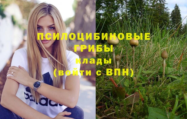 первитин Арсеньев