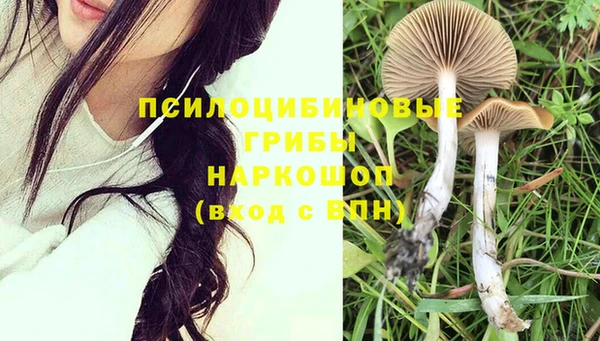 ПСИЛОЦИБИНОВЫЕ ГРИБЫ Покровск