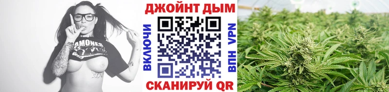 Бошки Шишки MAZAR Поронайск